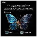 w=1500,h=1500,fit=pad (24).webp